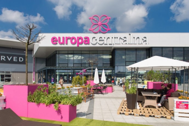 Konkurs "Kocie piękności"