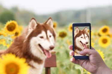 Konkurs "Tak bardzo lubię wiosnę"