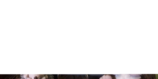 Wygraj książkę Elora Wielka Wyprawa