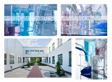 Konkurs fotograficzny "Piękno jest decyzją"