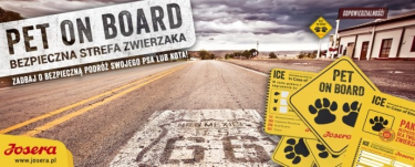 Konkurs "Pokaż, jak jeździ twój pies!"