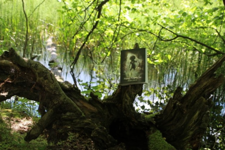 Konkurs "Polub i wygraj"