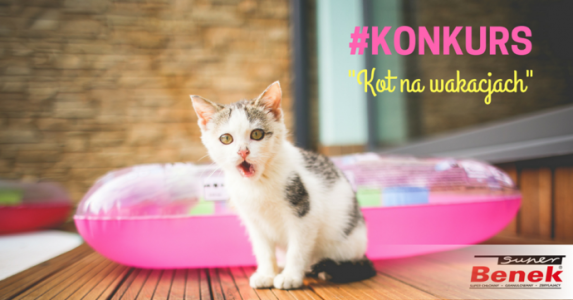 Konkurs fotograficzny "Kot na wakacjach"