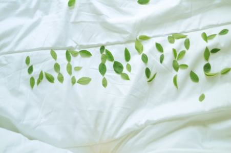 Konkurs "Z Wendre śpi się najlepiej!"