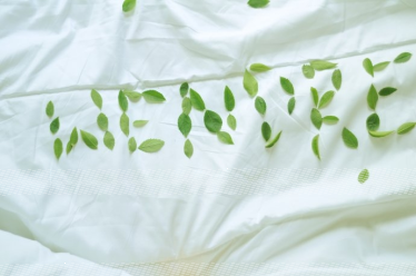 Konkurs "Z Wendre śpi się najlepiej!"