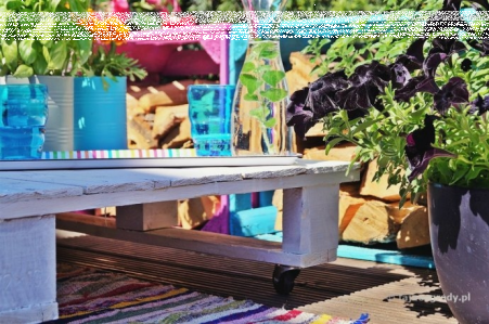 Konkurs "Kolory lata w moim ogrodzie"