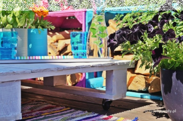 Konkurs "Kolory lata w moim ogrodzie"