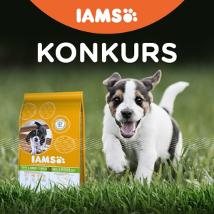 Konkurs "Małe piękności"