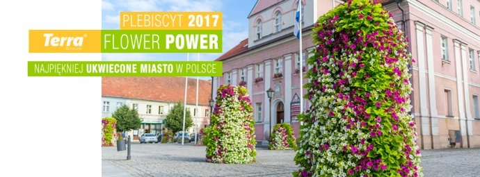 Konkurs "Plebiscyt 2017 FLOWER POWER"