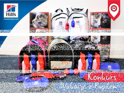 Konkurs fotograficzny "Wakacje z Pupilem" do godz. 16:00