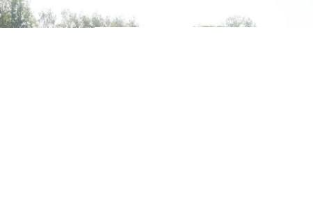 Konkurs "Czerwcowy Moto Weteran Bazar w Łodzi"