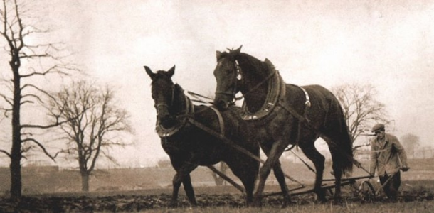 Konkurs "Sto lat mojego gospodarstwa"