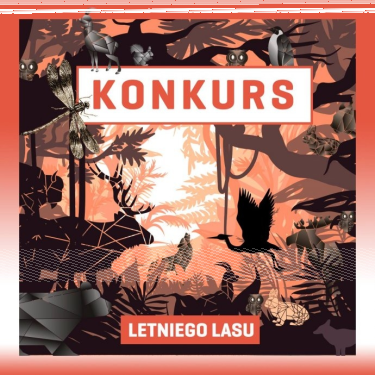 Konkurs "Letniego Lasu" (do godz. 21.00)