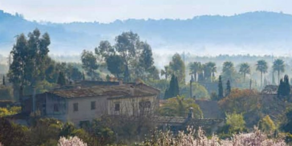 Konkurs "Z książką - Majorka w niebieskich migdałach - Anny Klary Majewskiej"