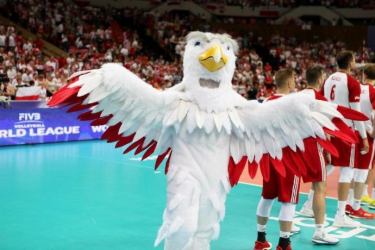 Wygraj bilety na mecze fazy play-off do Katowic