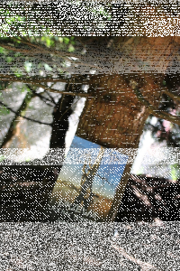 Konkurs "Umiłowanie prostoty"