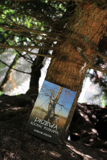 Konkurs "Umiłowanie prostoty"