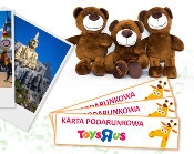 Konkurs "Rozśpiewany samochód dla głosujących"