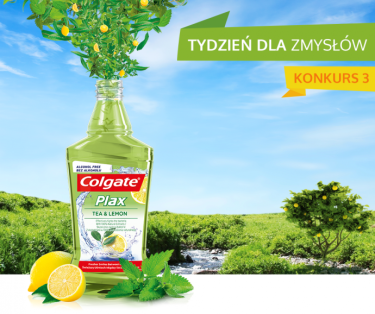 Konkurs fotograficzny "Tydzień dla zmysłów" etapy