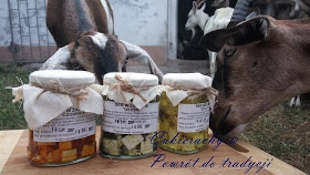 Konkurs "Powrót do tradycji z kozami w tle: Cukierachy"