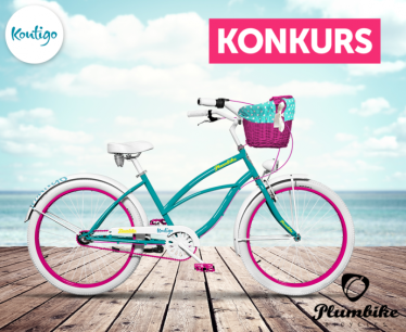 Konkurs "PLUMBIKE"