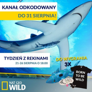 Konkurs "Tydzień z rekinami"