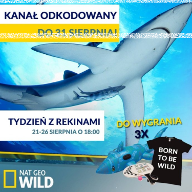 Konkurs "Tydzień z rekinami"