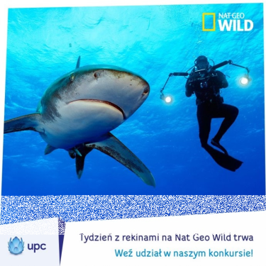 Konkurs "Tydzień z rekinami"