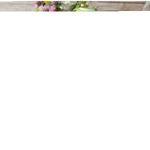 Konkurs fotograficzny "Herbapol  – ulubione zioła"