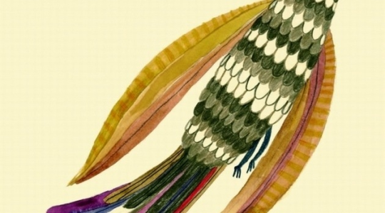 Wrocław: Wygraj książkę "Czary na białym" do godz. 9:00