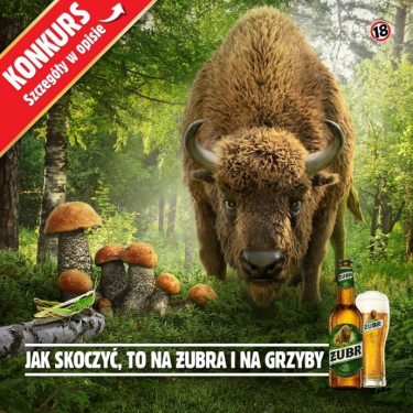Konkurs "Jak skoczyć to na Żubra i na grzyby" 18+