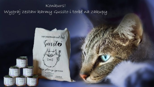 Konkurs "Zgadnij o jakim smaku będą nowe karmy Gussto"