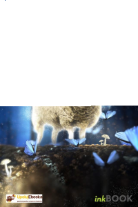 Baśniowy konkurs z okazji Dnia Postaci z Bajek