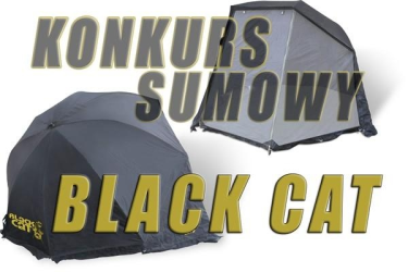 Konkurs sumowy "BLACK CAT" do godz. 21.00