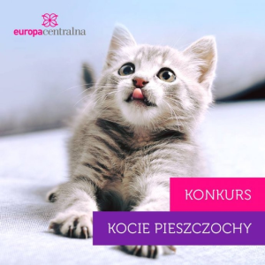 Konkurs fotograficzny "Kocie Pieszczochy"