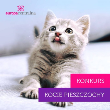 Konkurs fotograficzny "Kocie Pieszczochy"
