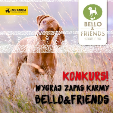 Wygraj zapas karmy BARF Bello&Friends, do godz. 12:00