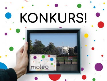 Konkurs "Moleo na całym świecie"