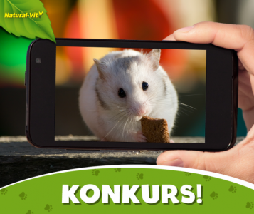 Konkurs fotograficzny "Ulubiony przysmak mojego pupila"