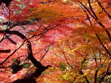 Konkurs "Baw się z nami" do godz. 12:00