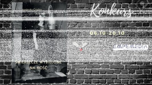 Konkurs z tajemniczymi historiami w tle