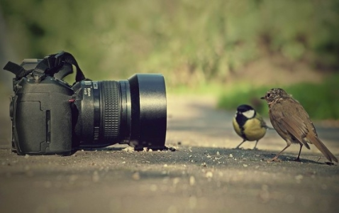 Konkurs "Selfie z naturą"