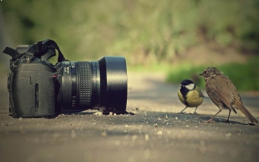 Konkurs "Selfie z naturą"