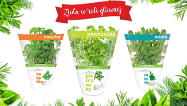 Konkurs "Smak i aromat świeżych ziół"