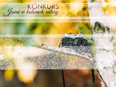 Konkurs fotograficzny "Jesień w kolorach natury"