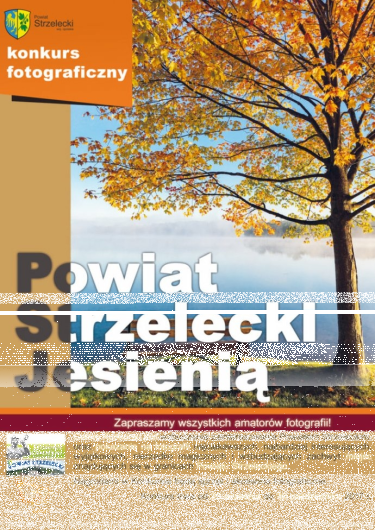 Strzelce Opolskie: Konkurs "Powiat Strzelecki Jesienią"