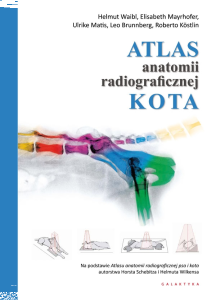 Konkurs fotograficzny: wygraj "Atlas anatomii radiograficznej kota"