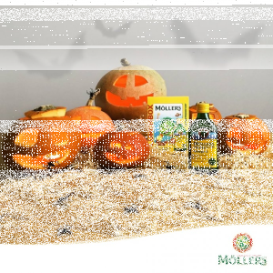 Konkurs "TRANing, czyni mistrza"