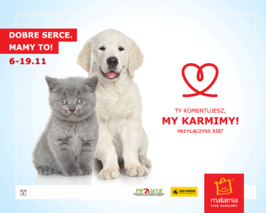 Gdańsk: Konkurs "Dlaczego warto pomagać zwierzakom w schroniskach"