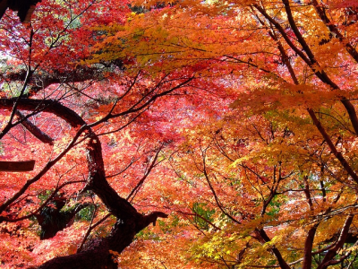 Konkurs "Zgarnij nagrody" do godz. 12:00